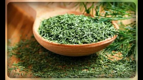 تصویر 1 از خرید عمده شوید خشک کیلویی + با بهترین کیفیت